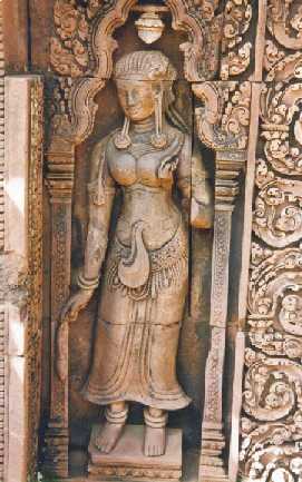 ���m�̃��i���U