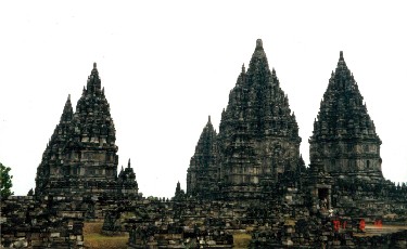 �v�����o�i��